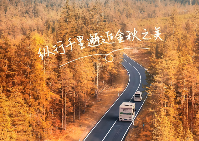 南京天脉租车：二十载品质坚守，安全与服务的双重保障