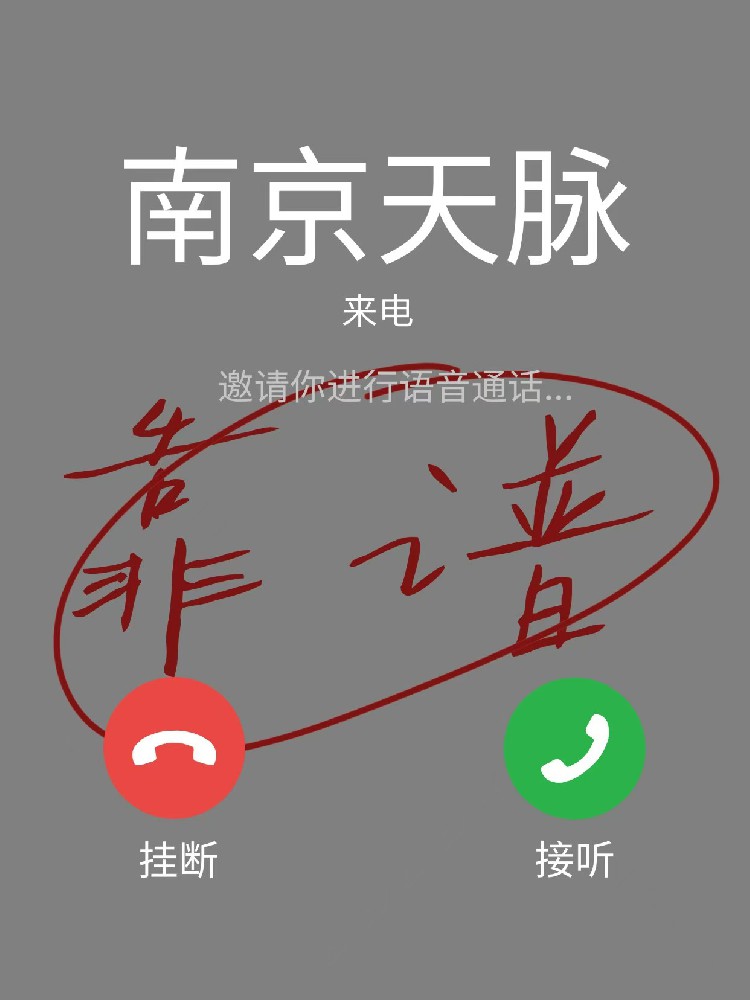 南京天脉车队：深耕本地市场，以专业服务打造租车行业标杆