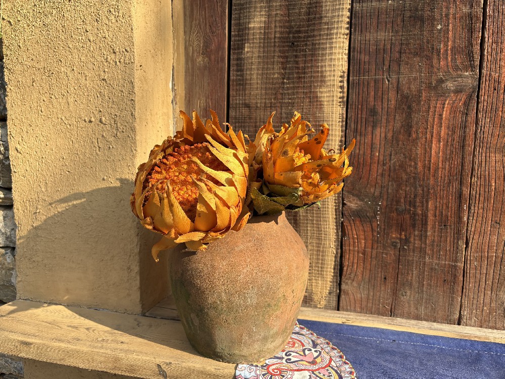 在南京，把风景交给旅途，把旅途交给天脉租车丨多车型可选，专属路线规划，畅行无忧！